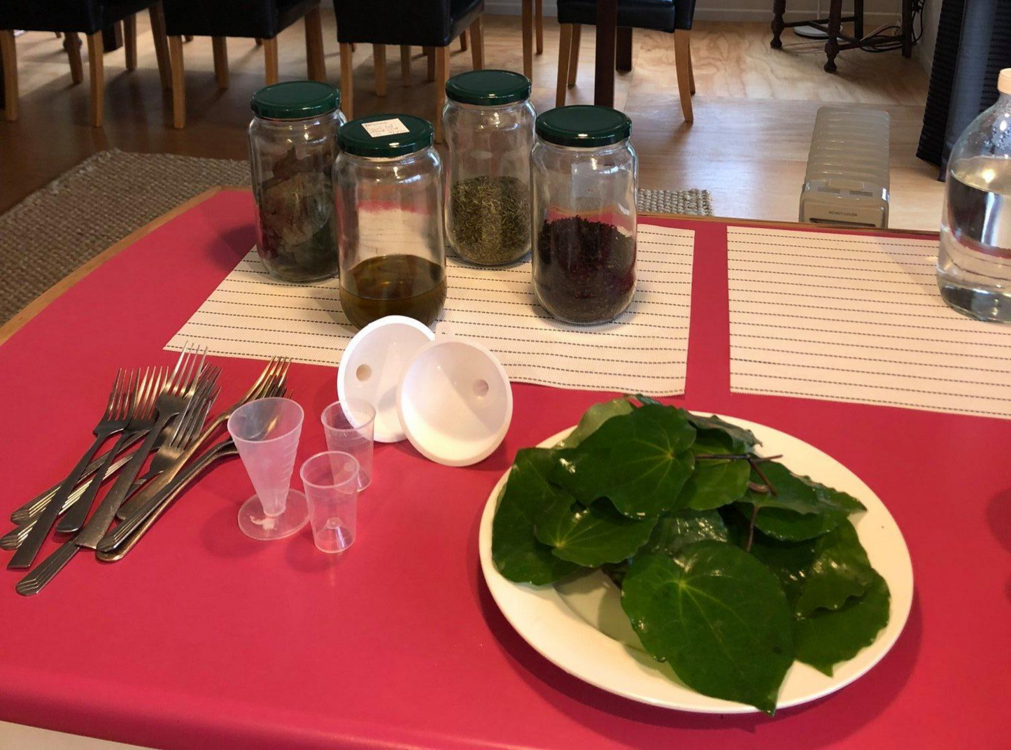 Native Herbal Medicine Workshop