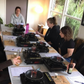 Native Herbal Medicine Workshop