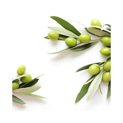 Kava Balm - Natural Sleep and Pain Aid.